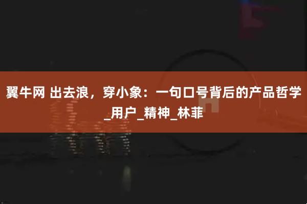 翼牛网 出去浪，穿小象：一句口号背后的产品哲学_用户_精神_林菲