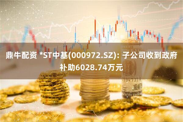 鼎牛配资 *ST中基(000972.SZ): 子公司收到政府补助6028.74万元