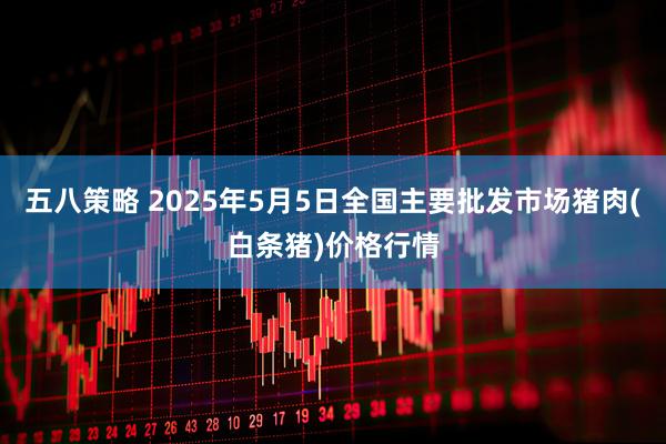 五八策略 2025年5月5日全国主要批发市场猪肉(白条猪)价格行情